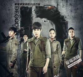 电视剧解密在线观看,揭秘神秘密码，探寻真相之旅